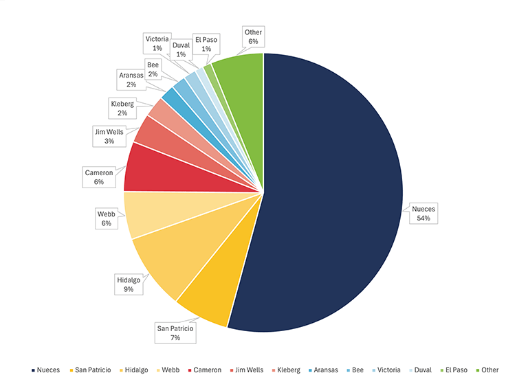 Physical Therapy Patient Home Counties Pie Chart.