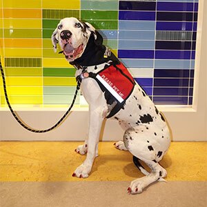 Madame Patch Gesundheit.