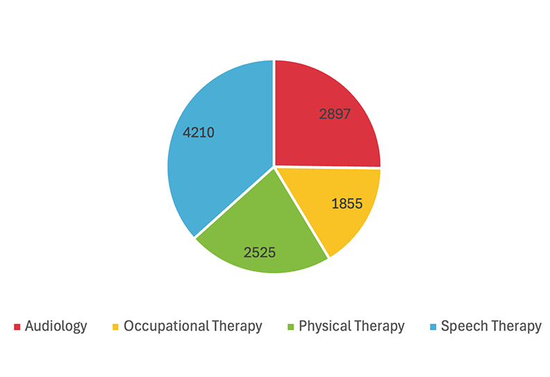 Rehabilitation Therapy Provided pie chart.