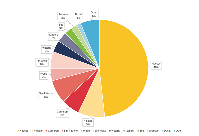 Audiology Patient Home Counties Pie Chart.