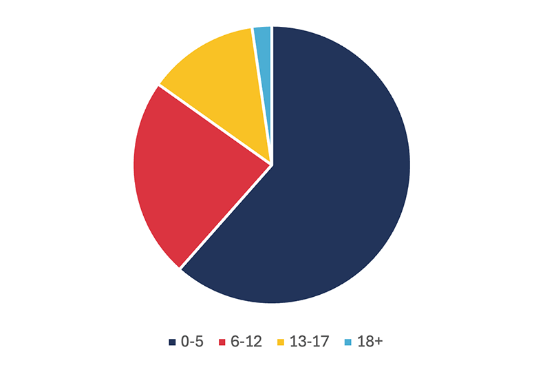 Rehabilitation Patient Age pie chart.