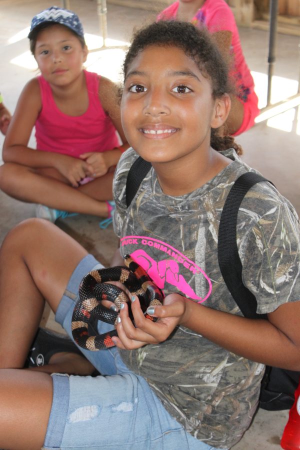 girl holding small snake at camp