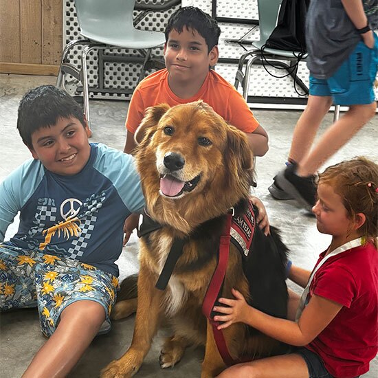 Three children petting a therapy dog.