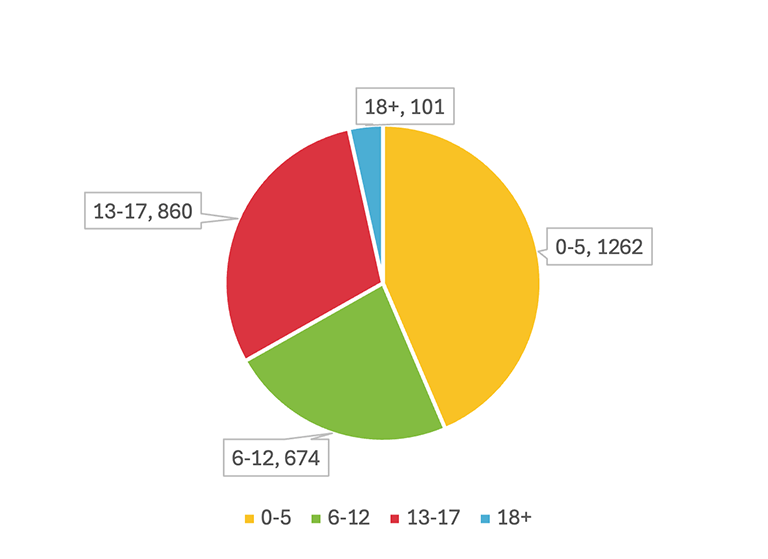 Physical Therapy Ages Pie Chart.
